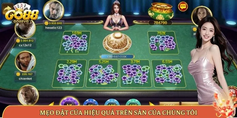 Mẹo Đặt Cửa Hiệu Quả Trên Sân Của Chúng Tôi