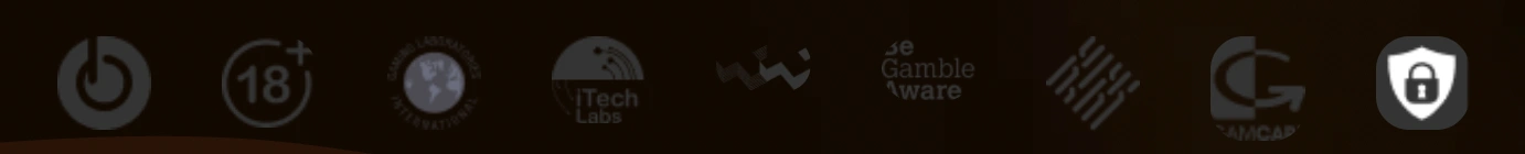ft (1)